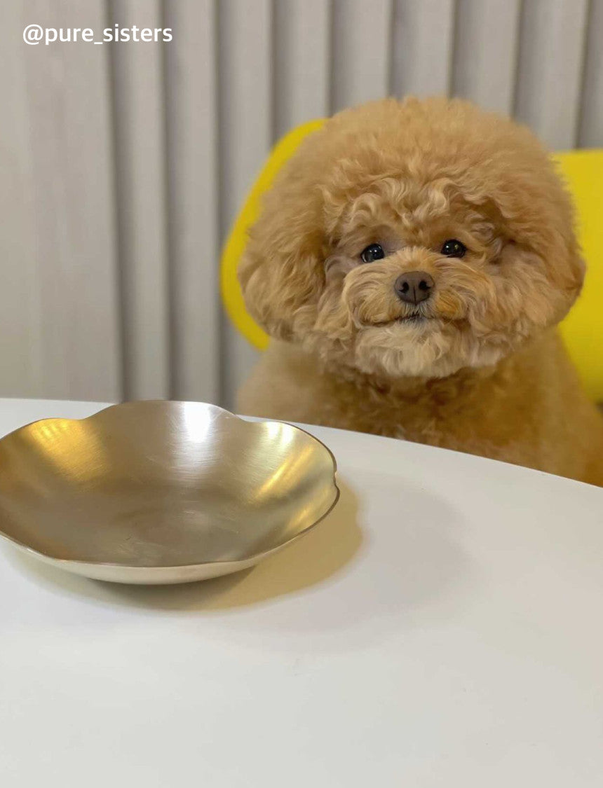 Bangjja Yugi Flower Food Bowl for Pet (Free Custom Name Engraving)