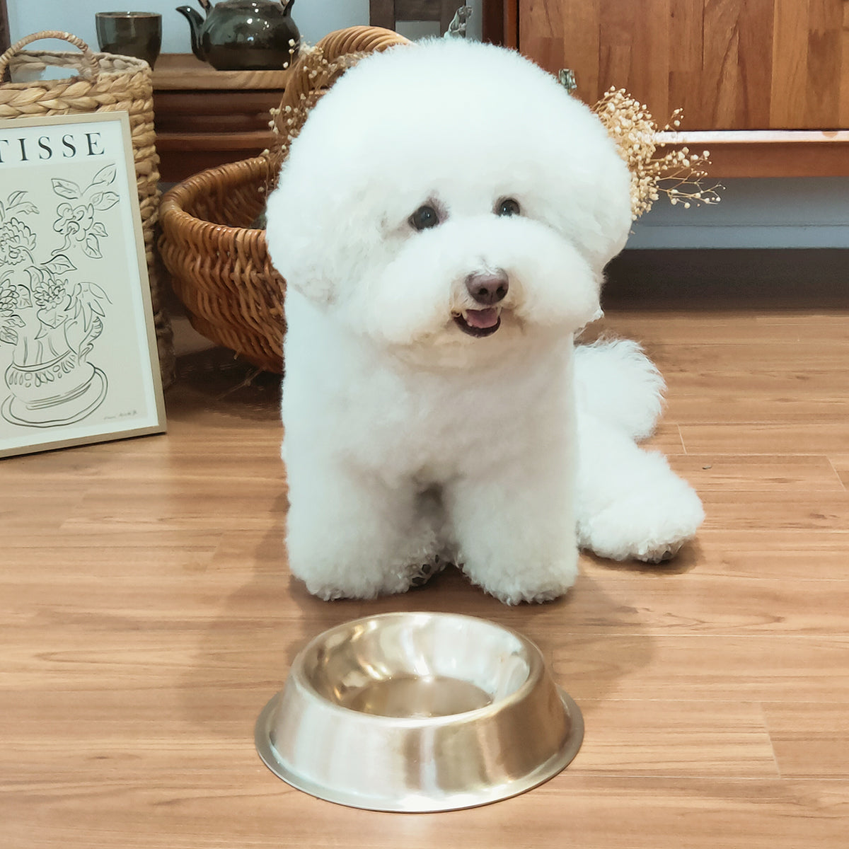 Bangjja Yugi Anti-Bacterial Pet Rice/Water Bowl