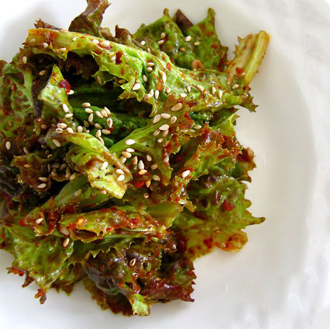 Quick, Fresh Lettuce Kimchi [Sangchu Getjeori]