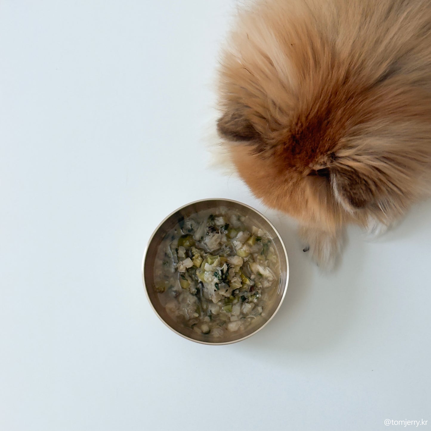 Bangjja Yugi Pet Water/Rice Bowl (Free Custom Name Engraving)