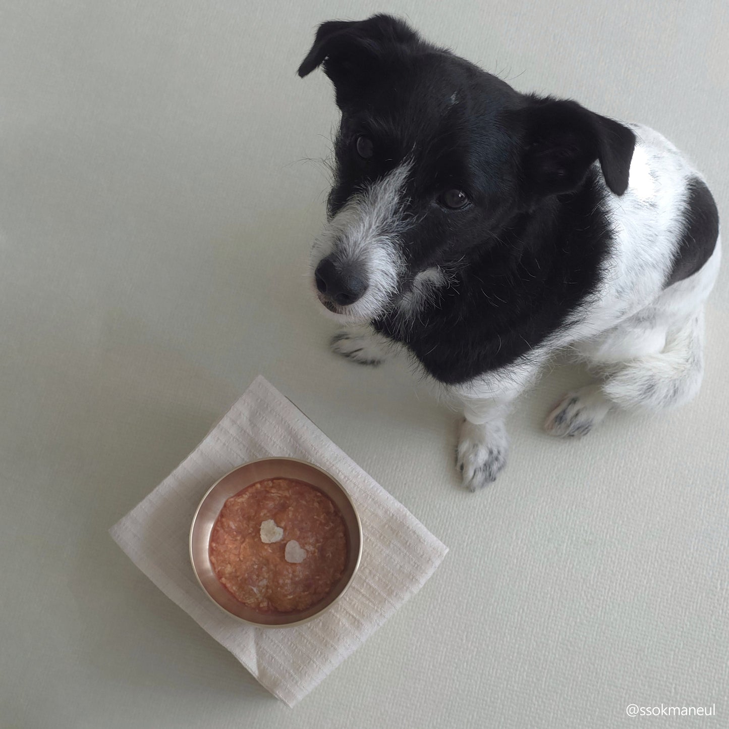 Bangjja Yugi Pet Water/Rice Bowl (Free Custom Name Engraving)