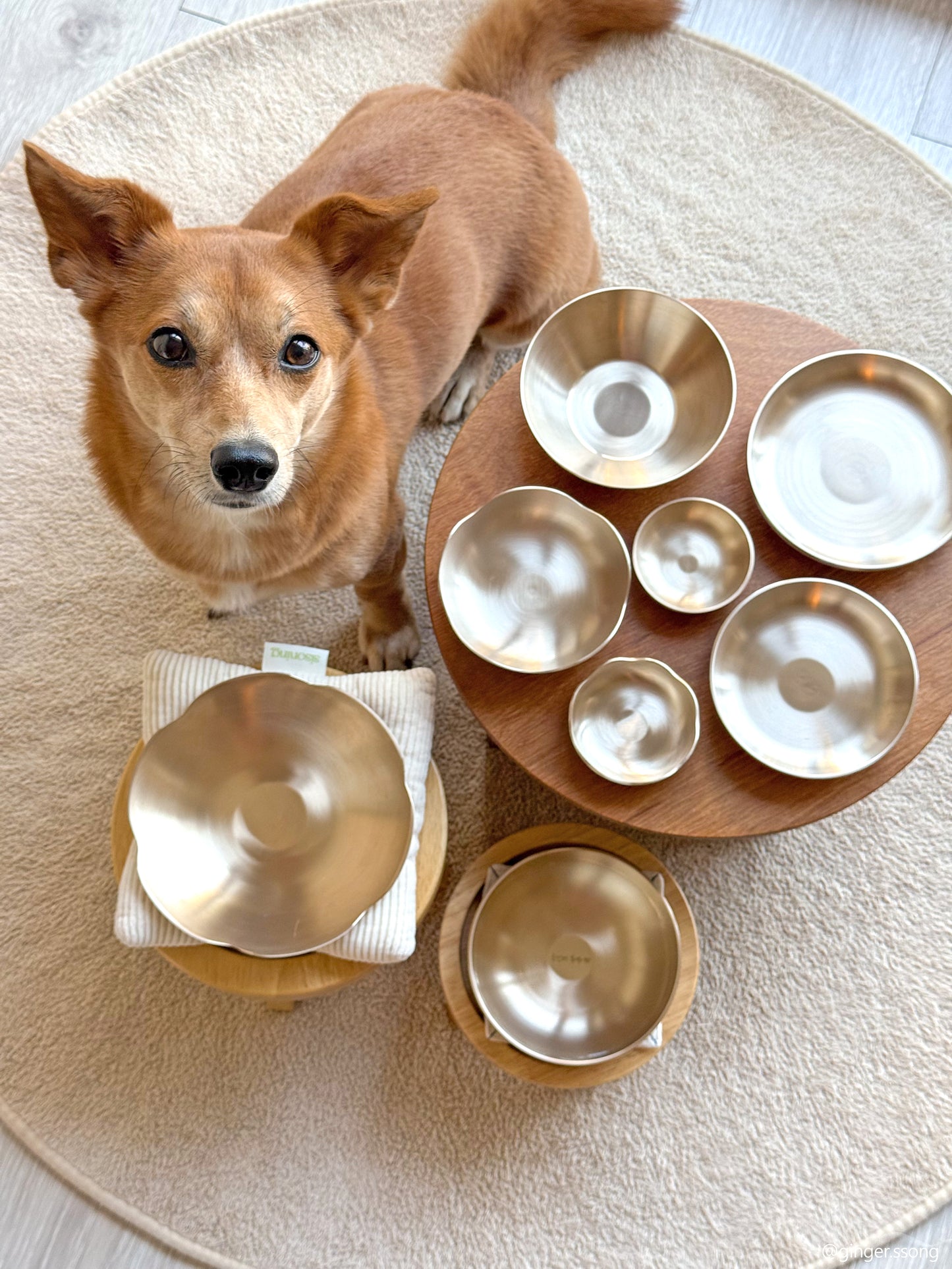 Bangjja Yugi Flower Food Bowl for Pet (Free Custom Name Engraving)