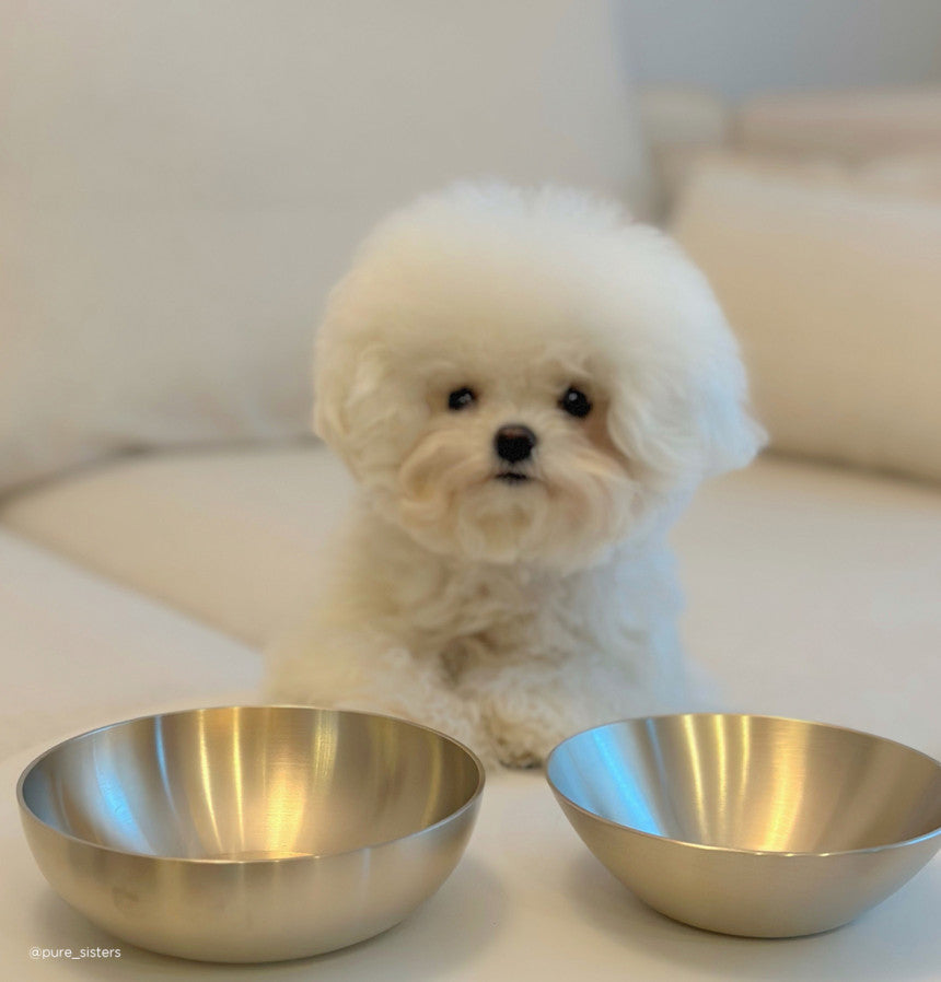 Bangjja Yugi Pet Water/Rice Bowl (Free Custom Name Engraving)