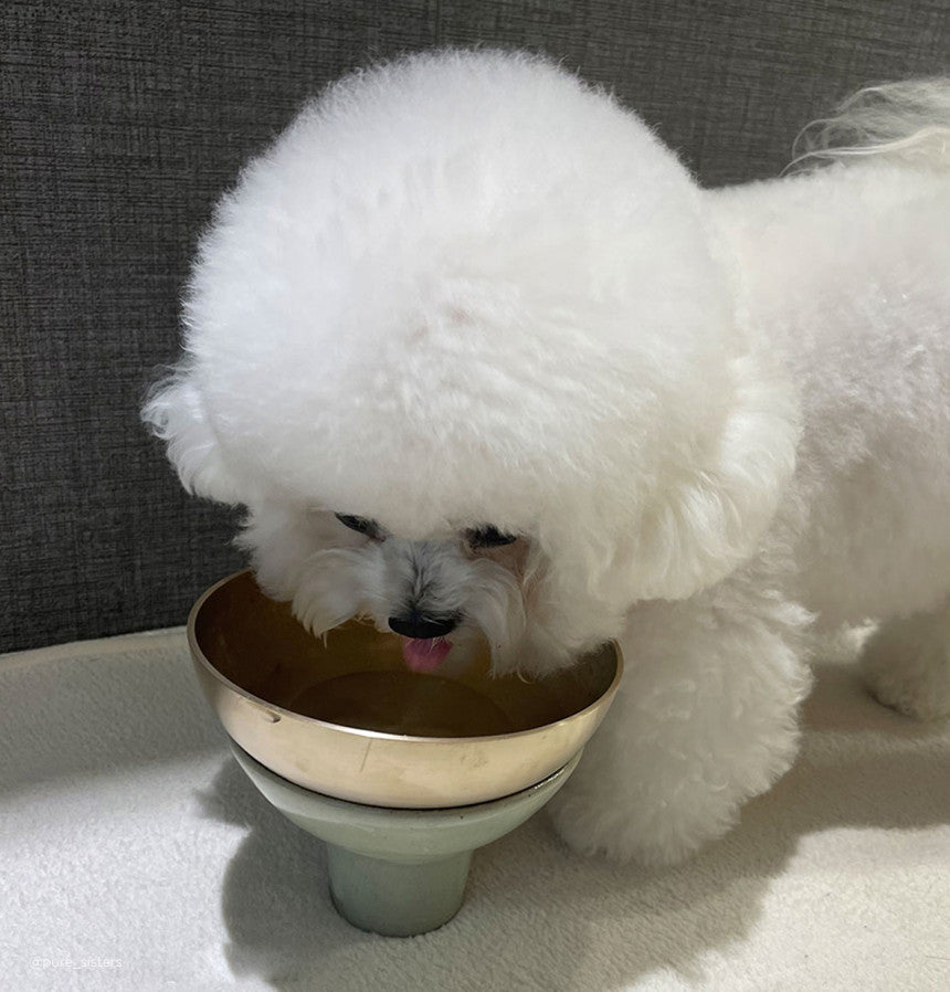 Bangjja Yugi Pet Water/Rice Bowl (Free Custom Name Engraving)
