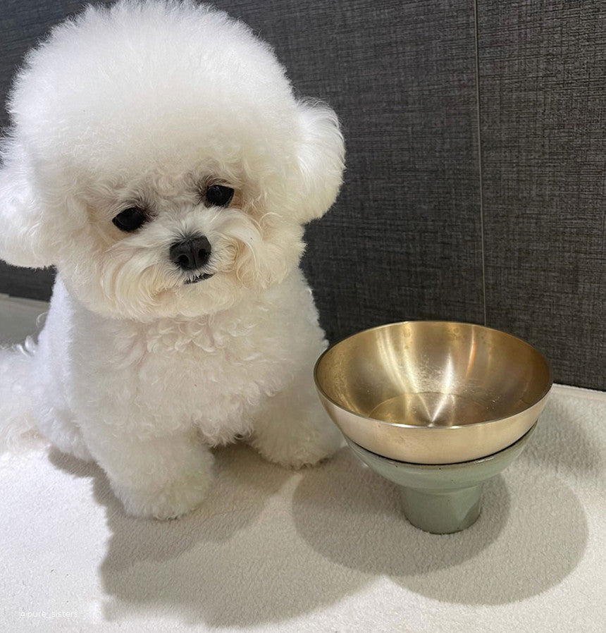 Bangjja Yugi Pet Water/Rice Bowl (Free Custom Name Engraving)