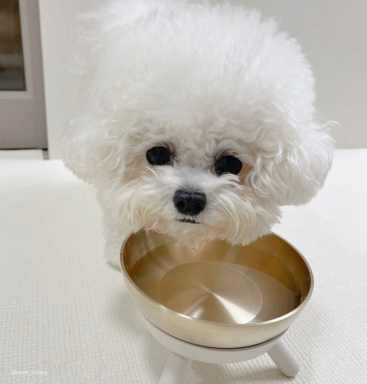 Bangjja Yugi Pet Water/Rice Bowl (Free Custom Name Engraving)