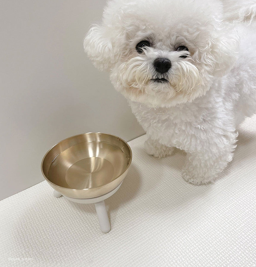 Bangjja Yugi Pet Water/Rice Bowl (Free Custom Name Engraving)