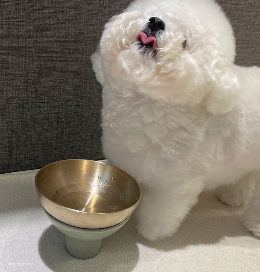 Bangjja Yugi Pet Water/Rice Bowl (Free Custom Name Engraving)