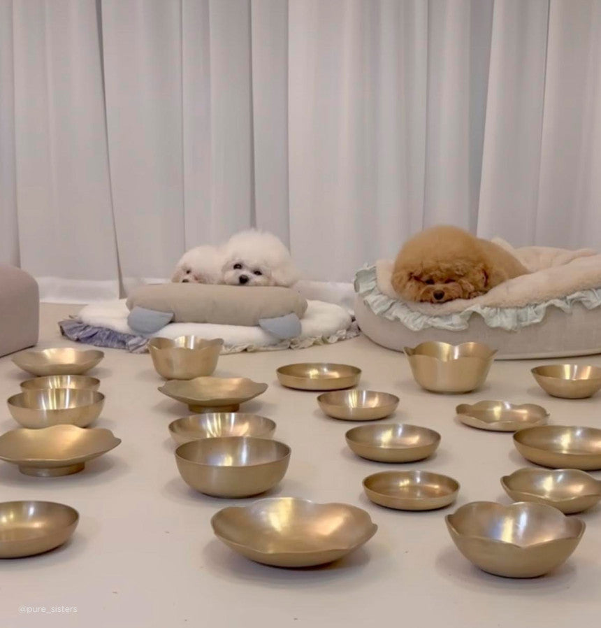 Bangjja Yugi Flower Food Bowl for Pet (Free Custom Name Engraving)