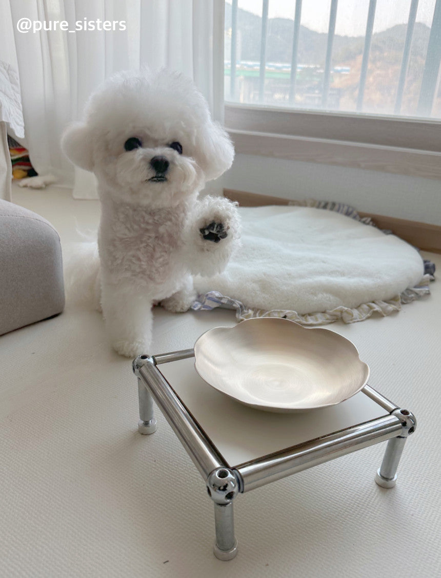 Bangjja Yugi Flower Food Bowl for Pet (Free Custom Name Engraving)