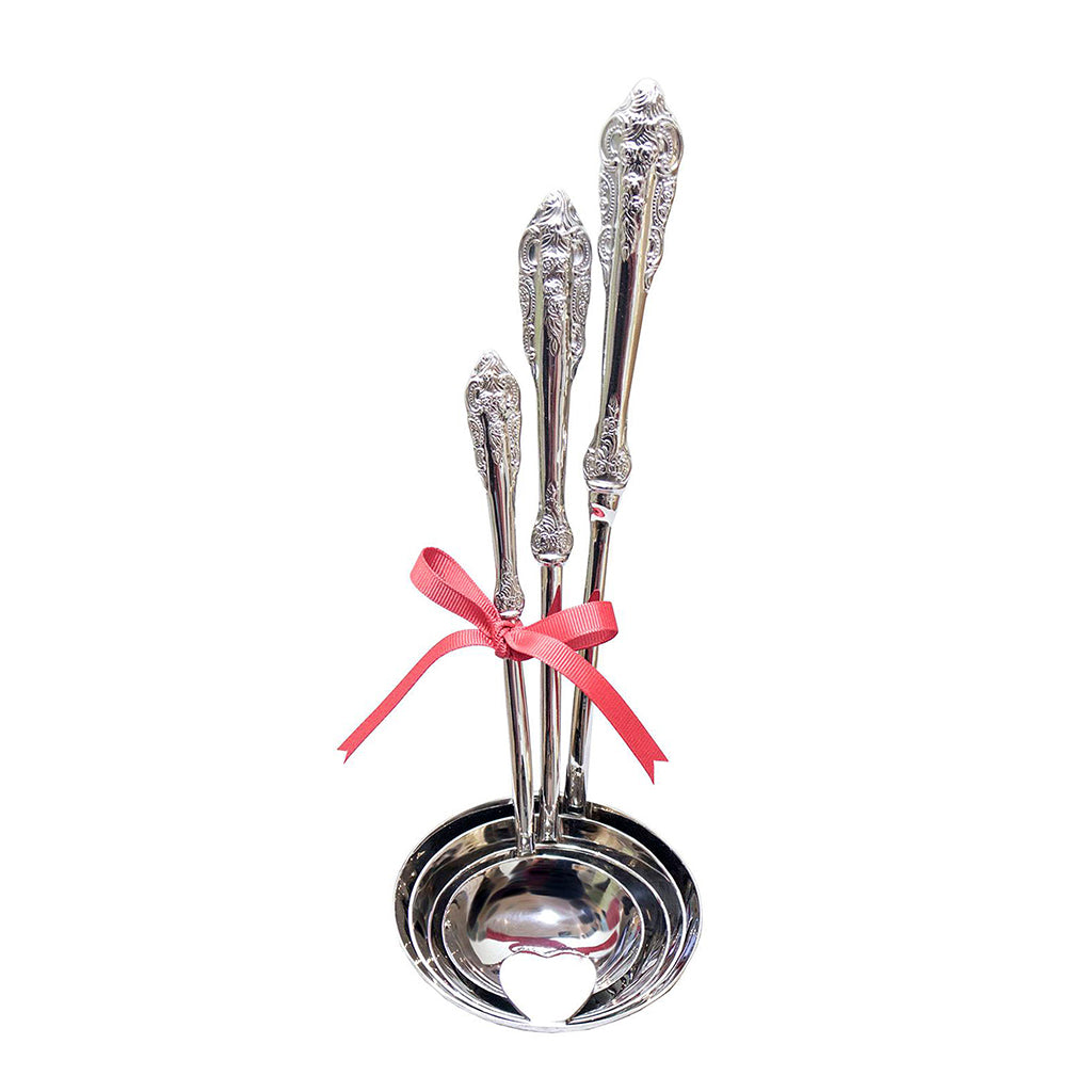 4-Pcs Botanic Garden Ladle Set