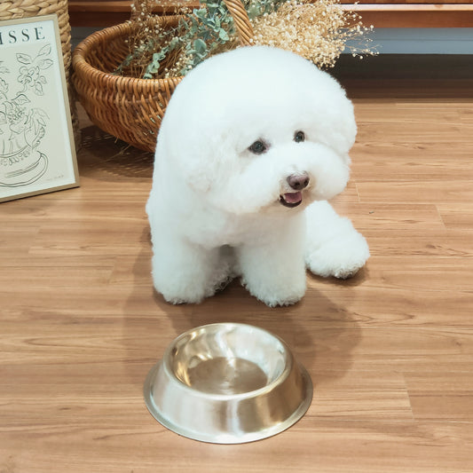 Bangjja Yugi Anti-Bacterial Pet Rice/Water Bowl