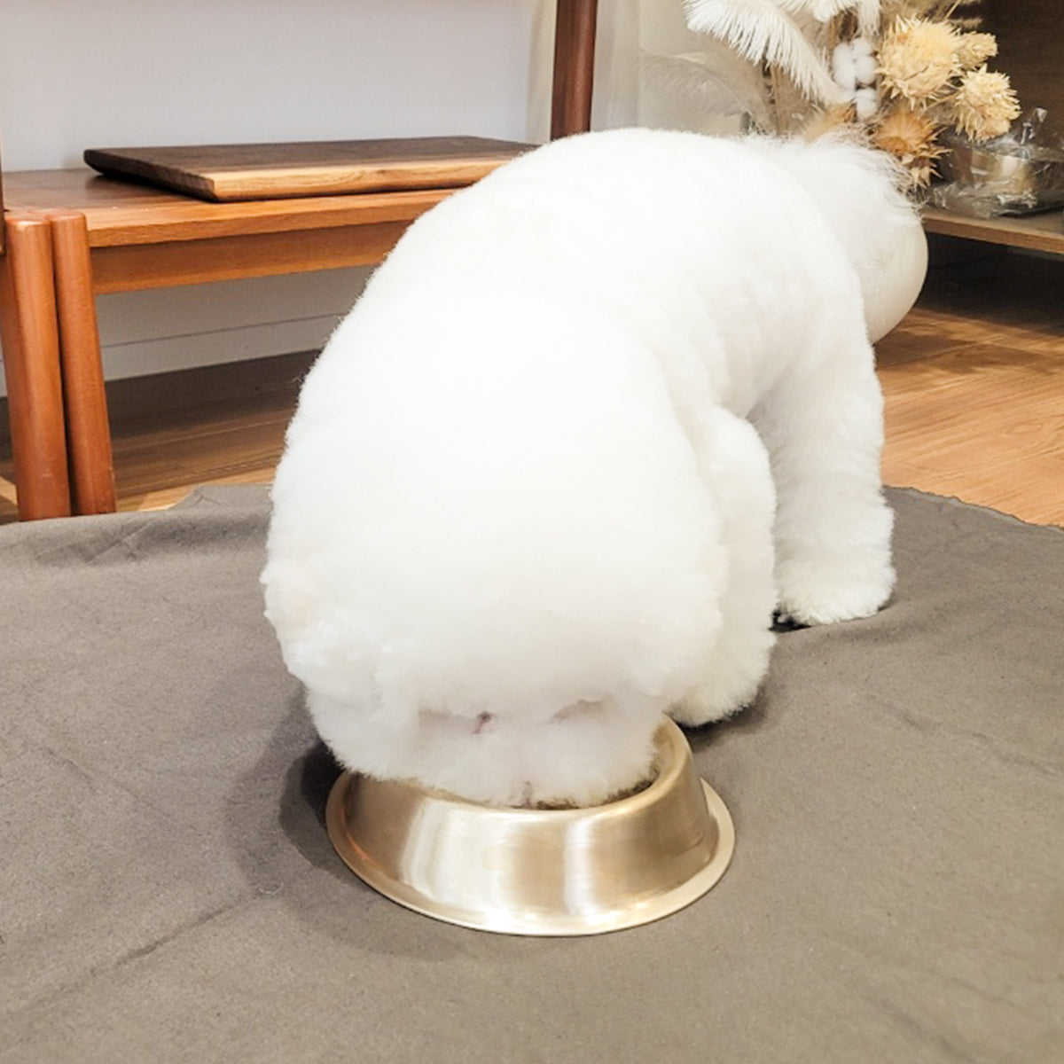 Bangjja Yugi Anti-Bacterial Pet Rice/Water Bowl
