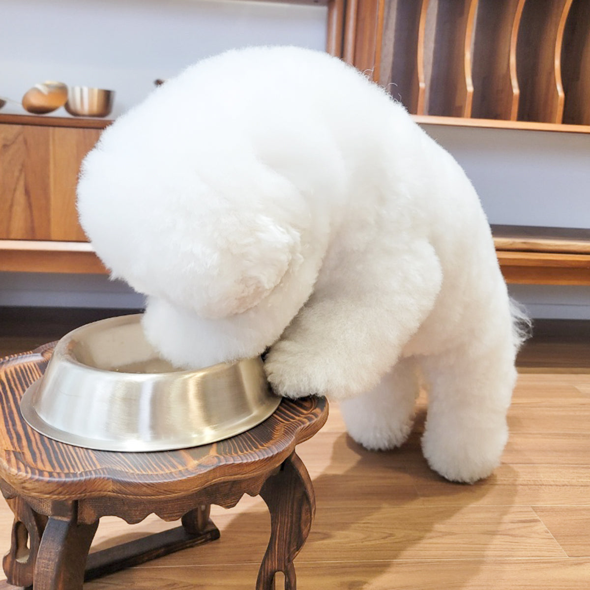 Bangjja Yugi Anti-Bacterial Pet Rice/Water Bowl