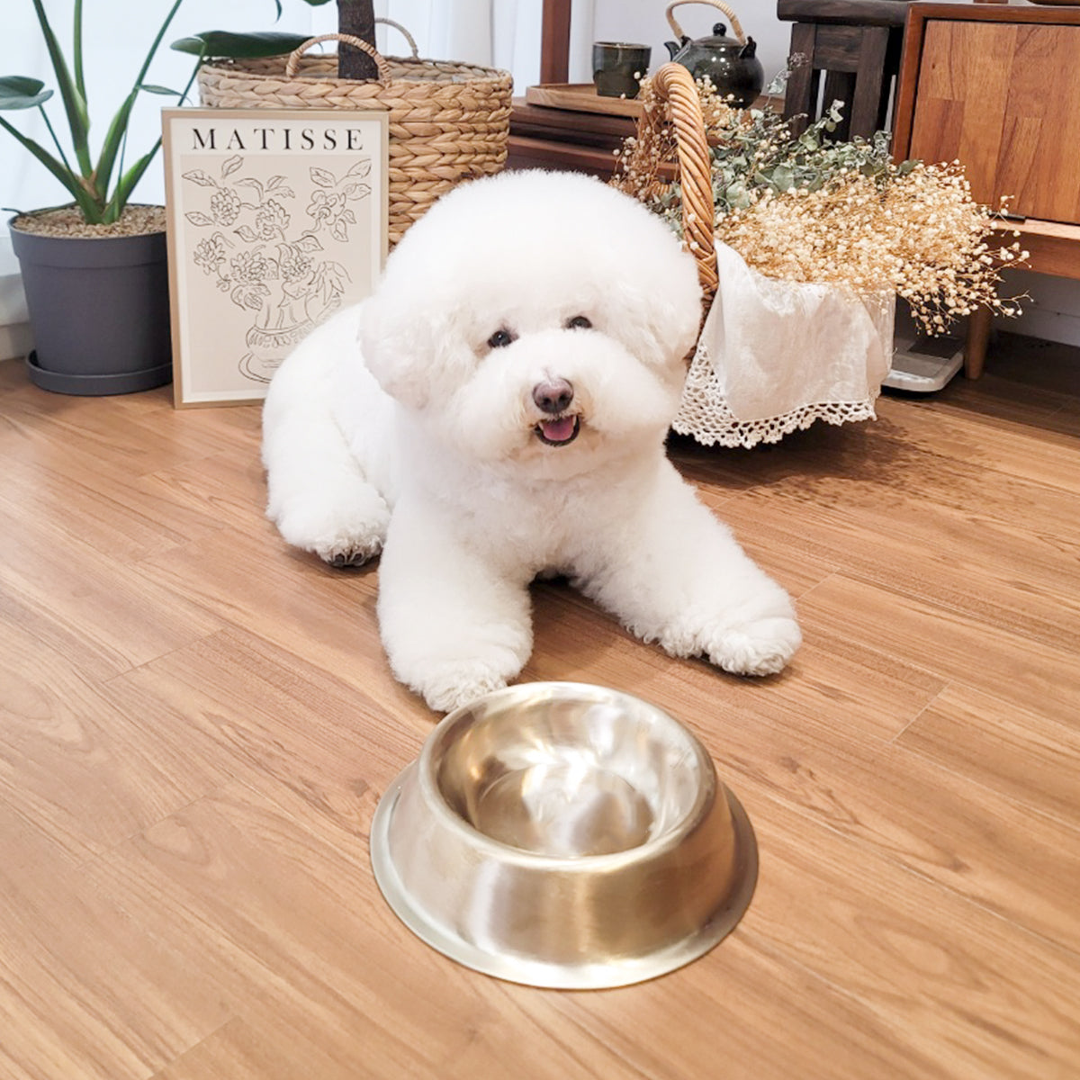 Bangjja Yugi Anti-Bacterial Pet Rice/Water Bowl
