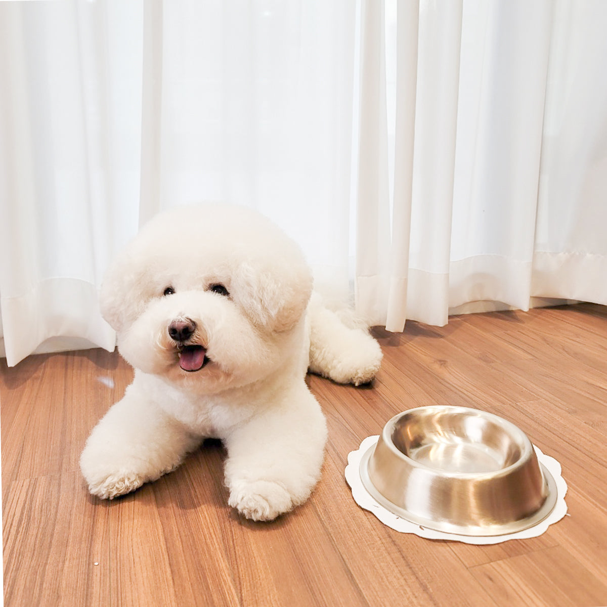 Bangjja Yugi Anti-Bacterial Pet Rice/Water Bowl