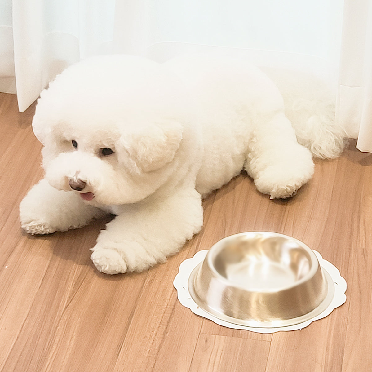 Bangjja Yugi Anti-Bacterial Pet Rice/Water Bowl