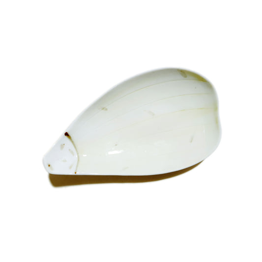 Flower Petal Appetizer Plate 185mm (Yellow)